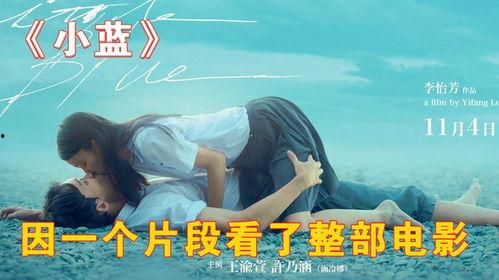 小蓝电影,揭秘网络影视世界的魅力与挑战