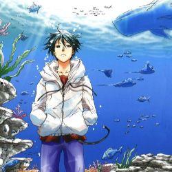 海漫画,探寻海洋生物的奇幻世界